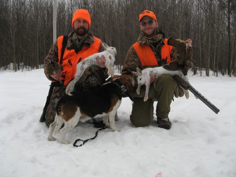 View topic Yankee Snowshoe Hare Hunting (PICS)